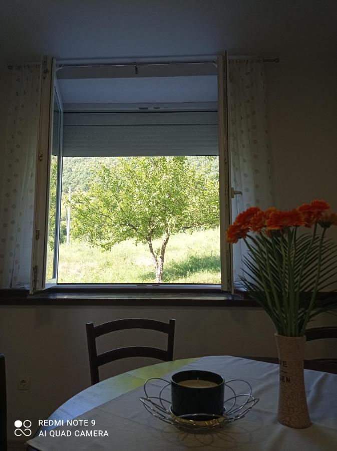 Studio Apartman Sonja Otocsán Kültér fotó